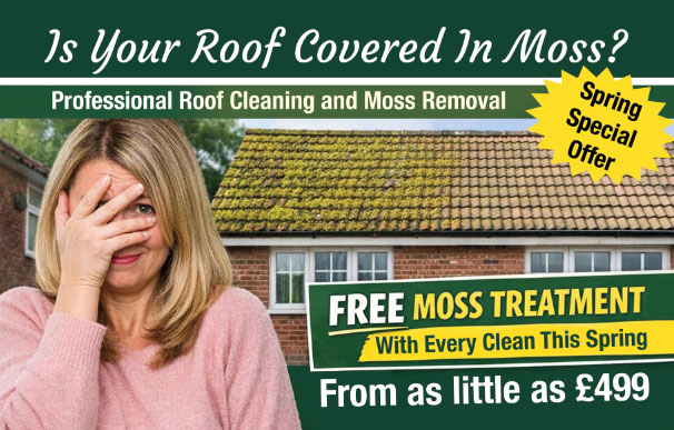 roof cleaning claygate